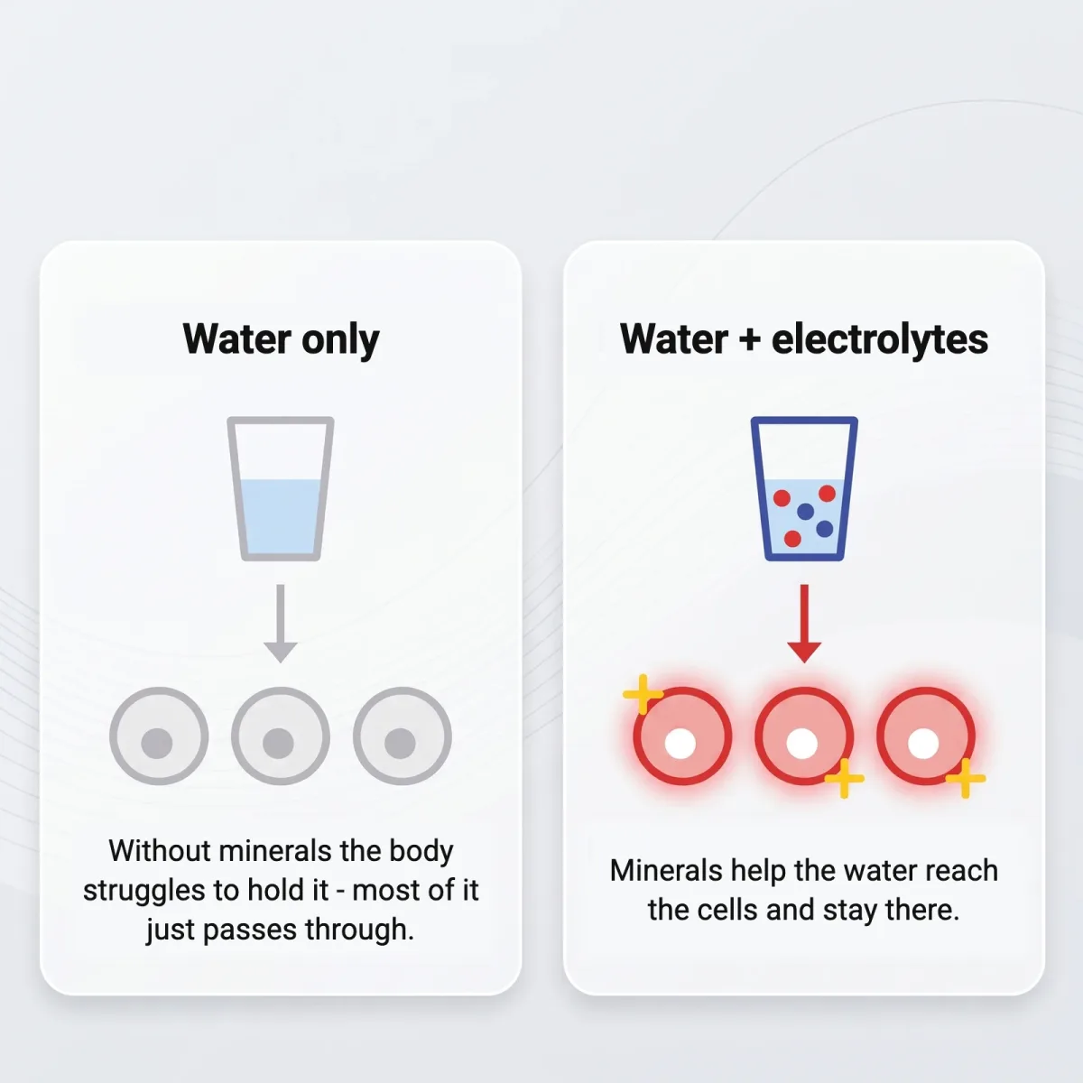 Plain water against water with electrolytes - how minerals help water reach the cells