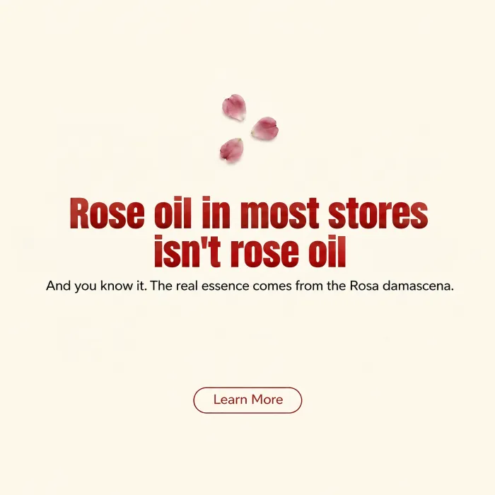 An ad stating that rose oil in most stores is not rose oil.